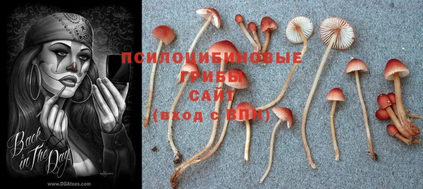 мдма Гусев