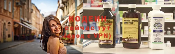 spice Гусь-Хрустальный