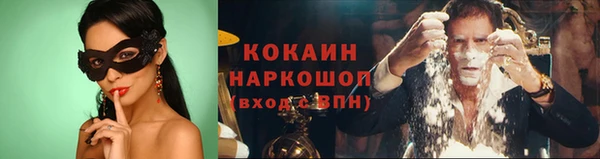 тгк Няндома