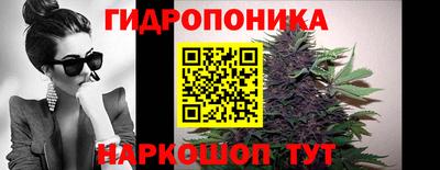 шишки Берёзовский