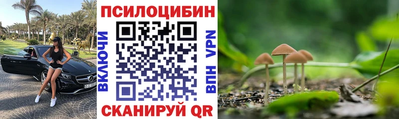 купить   Ступино  Галлюциногенные грибы MAGIC MUSHROOMS 