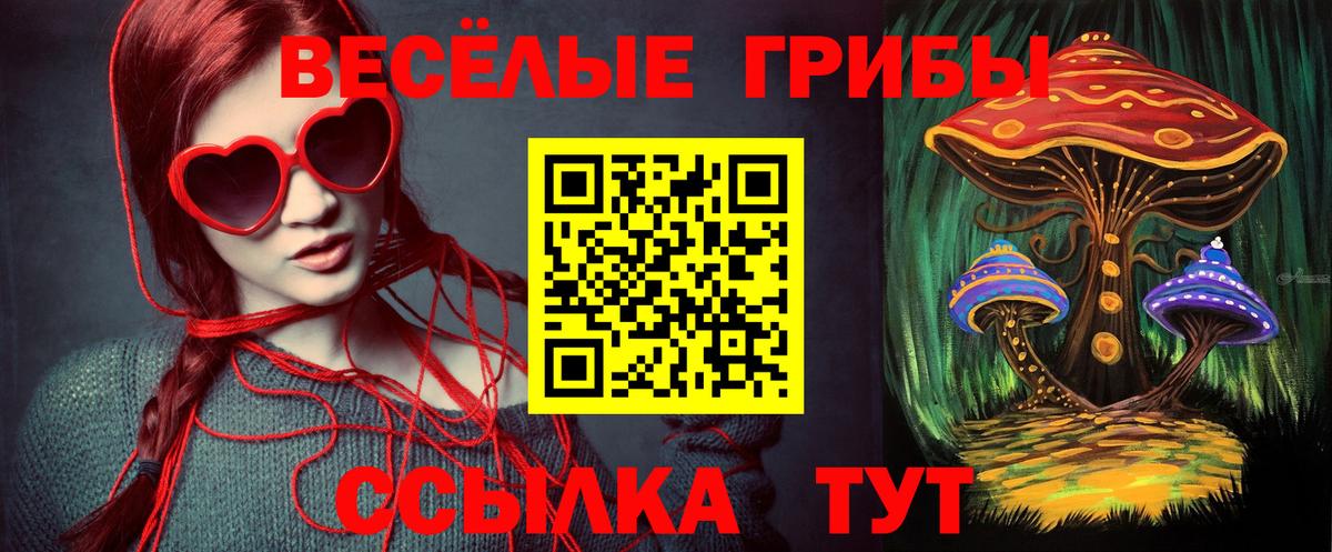 Галлюциногенные грибы Cubensis Ступино