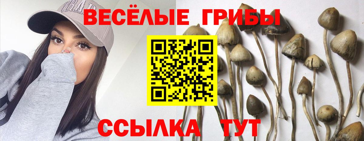 купить наркотик  Галлюциногенные грибы мухоморы  Вход с VPN  Галлюциногенные грибы Magic Shrooms  Ступино 