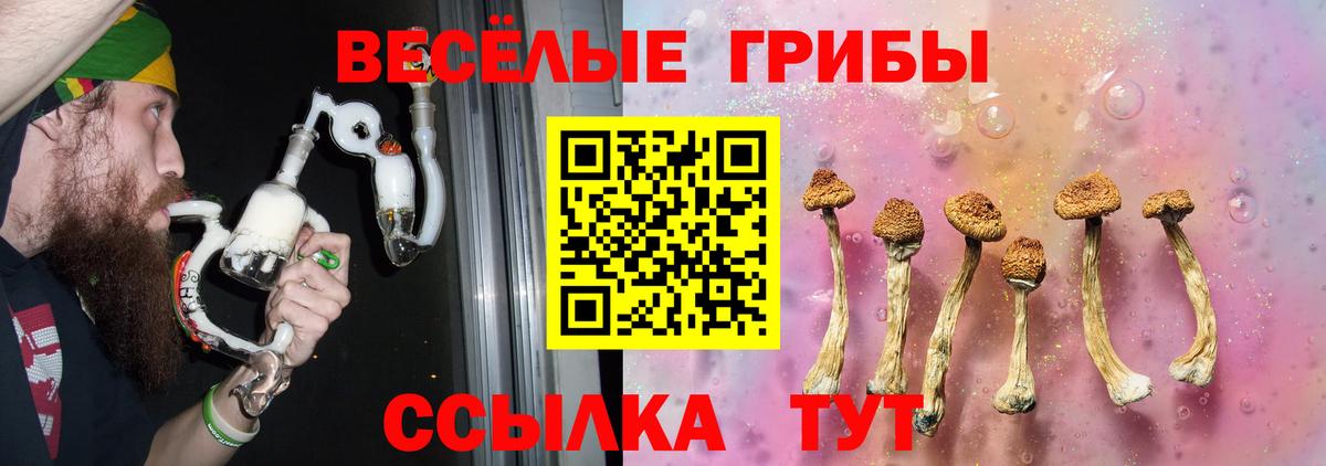 Псилоцибиновые грибы Magic Shrooms Ступино